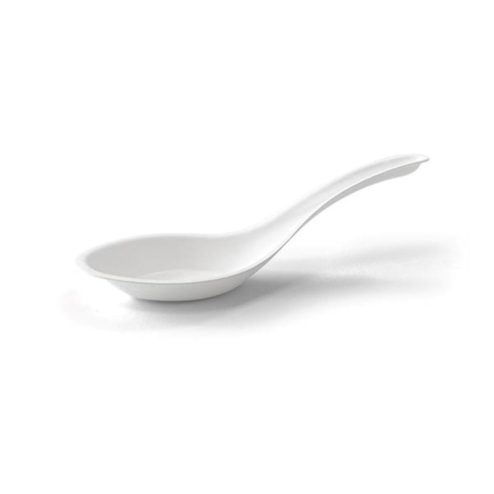 Sugarcane Soup Spoon