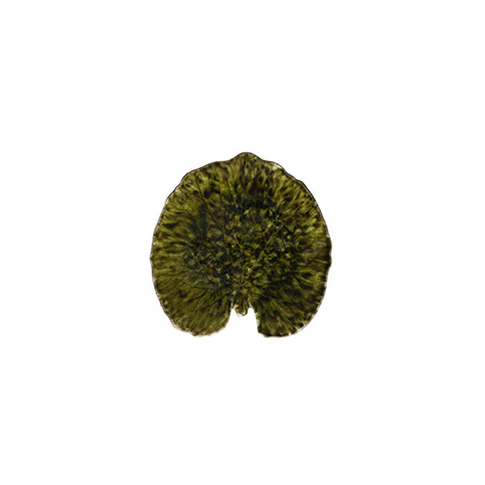 PLATE LEAF 176x170mm COSTA NOVA